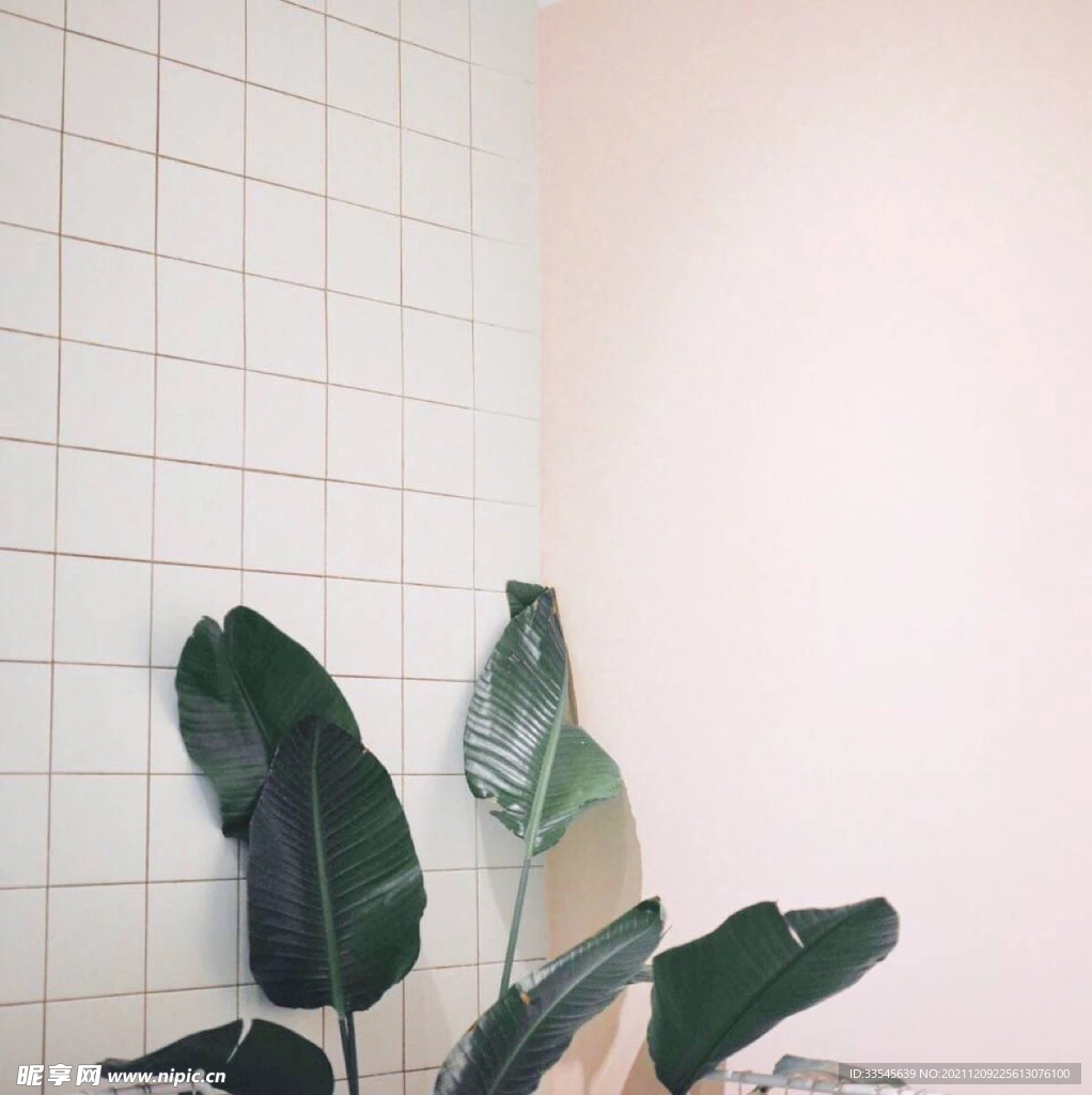场景画面图 