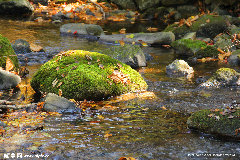 溪水石头绿苔藓
