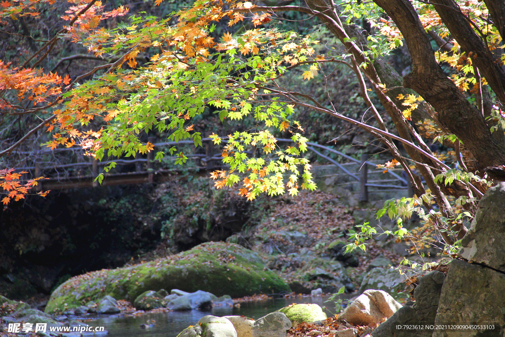 辽宁老边沟大石湖红绿枫叶