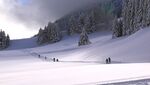 雪景素材图片