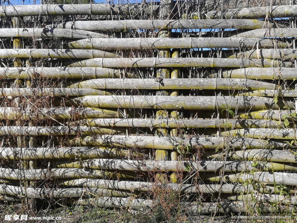 竹片篱笆背景墙