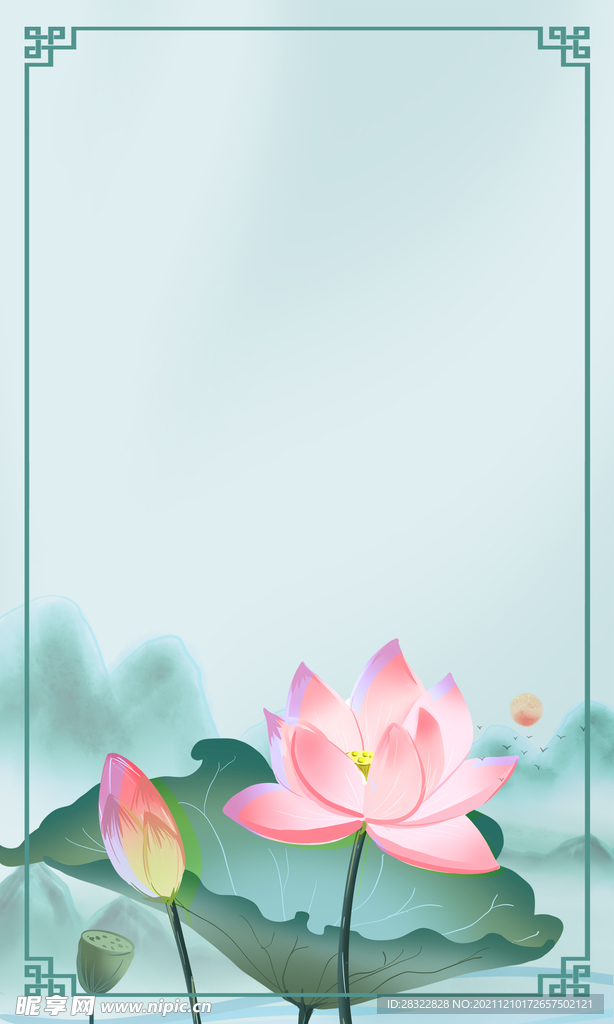 荷花背景