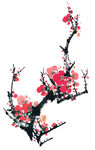 梅花 