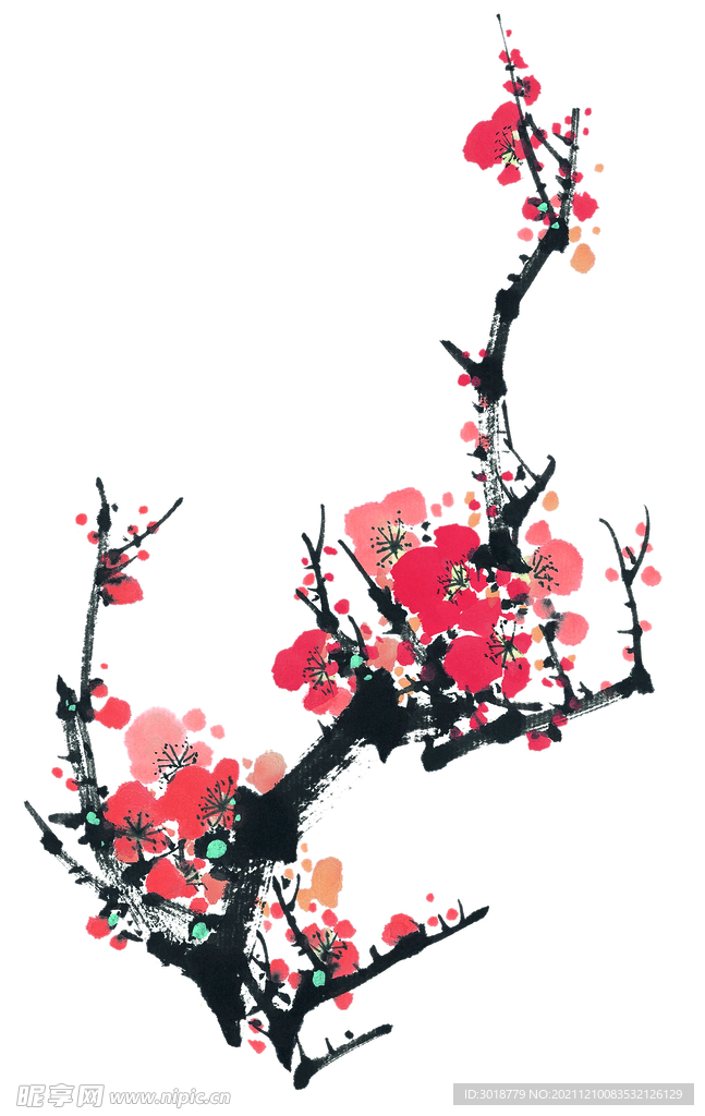 梅花 