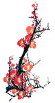 梅花 