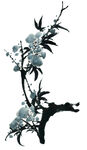 梅花 