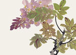 百花争艳 