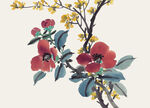 百花争艳 