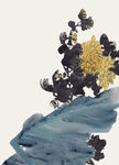 百花争艳 