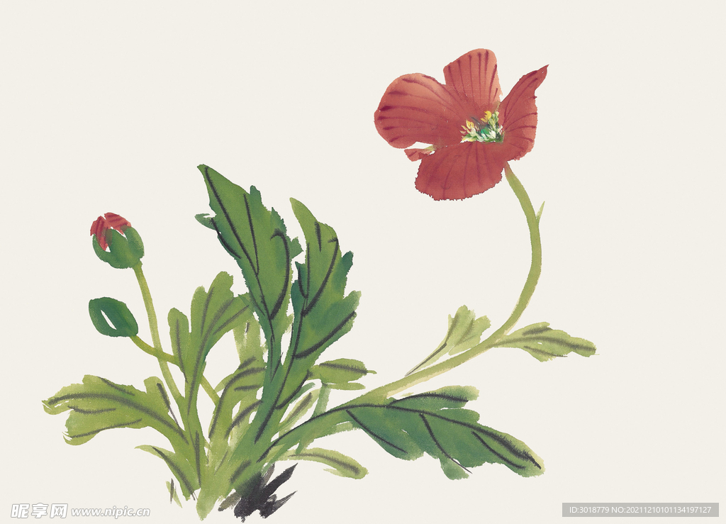 百花争艳 
