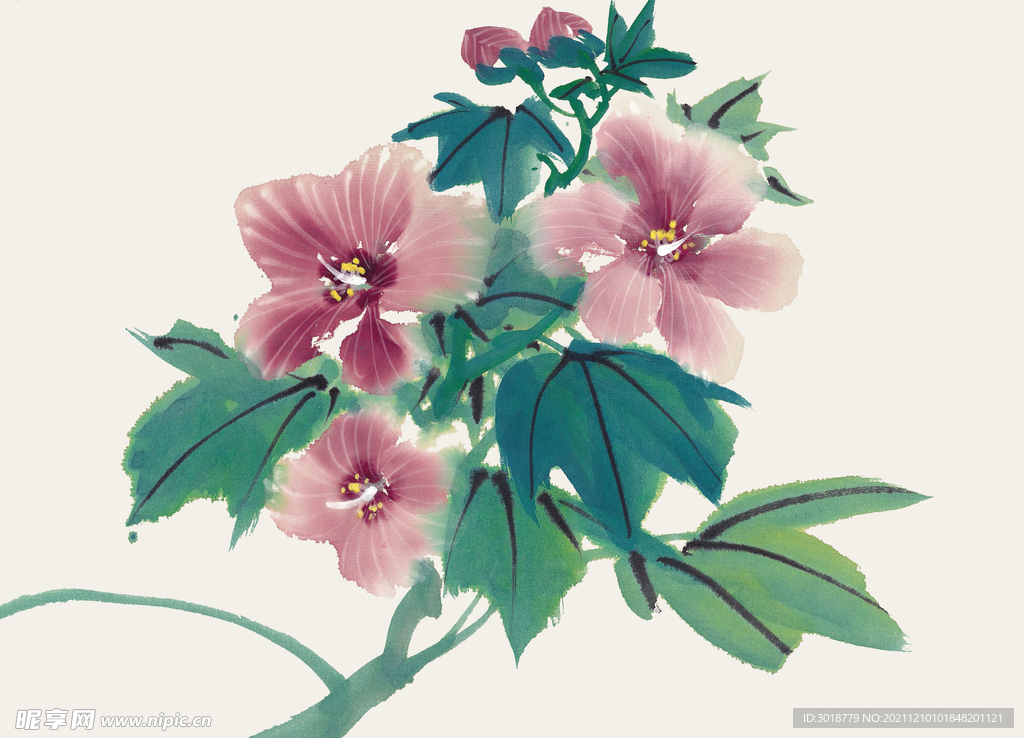 百花争艳 