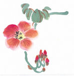百花争艳 