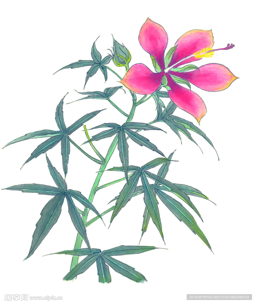 百花争艳