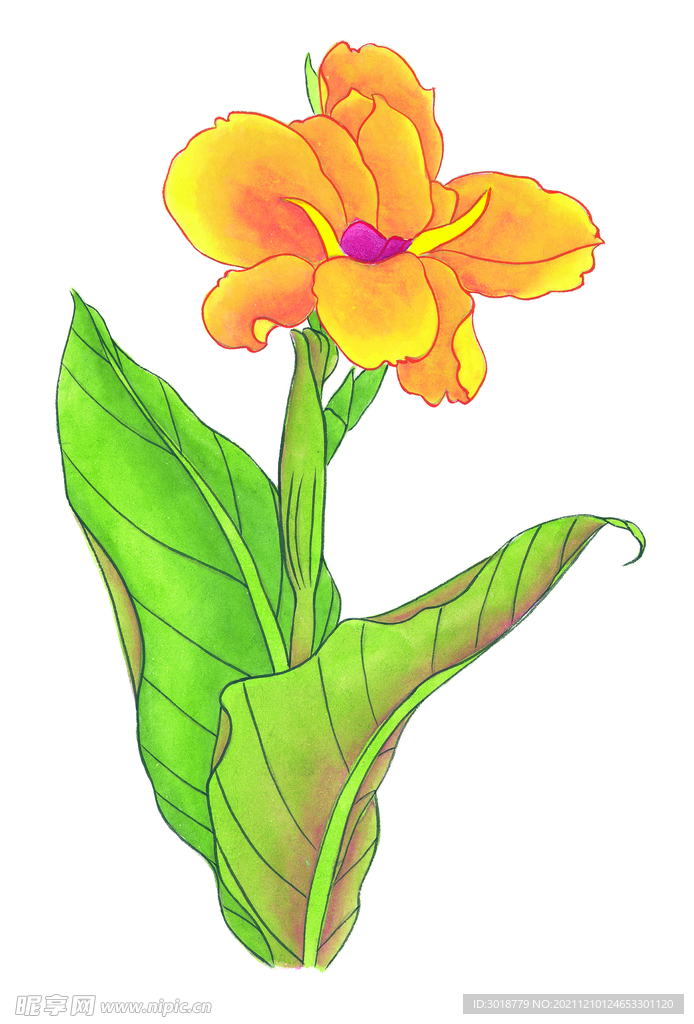 百花争艳