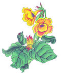 百花争艳 