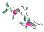 百花争艳 