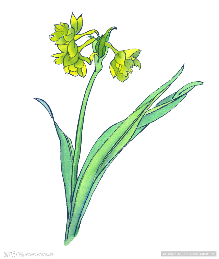 百花争艳  