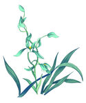 百花争艳