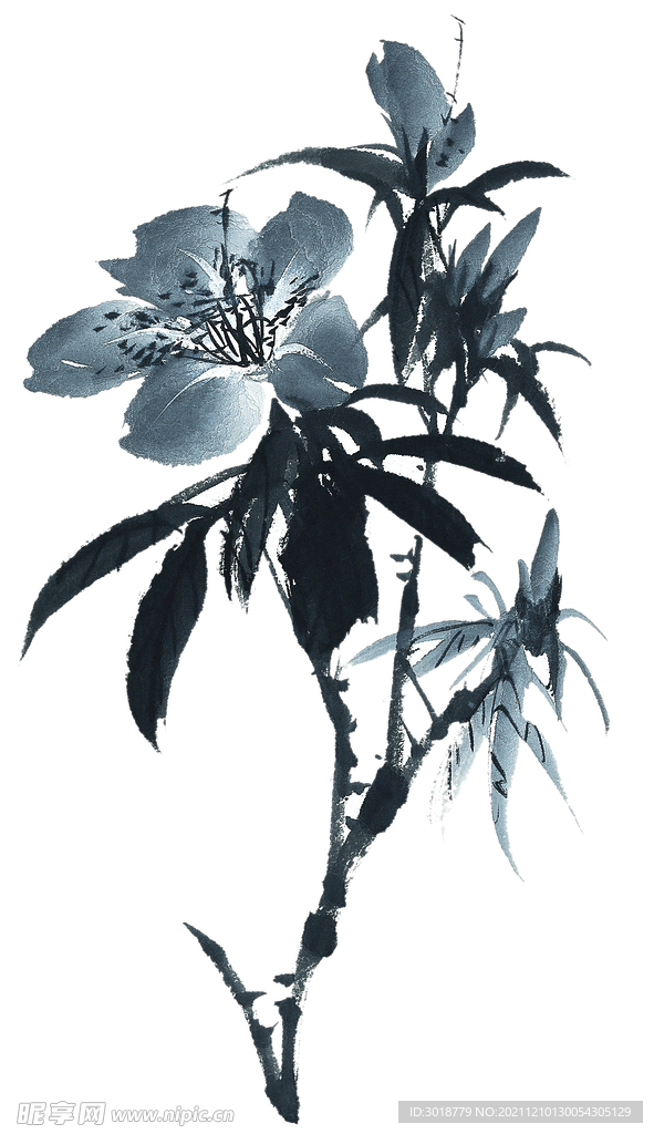 百花争艳  