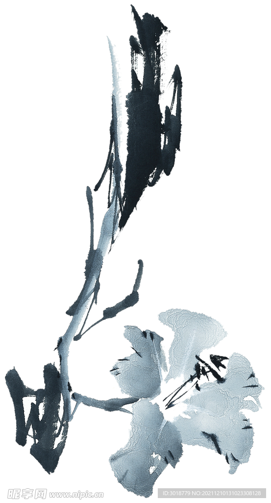 百花争艳 