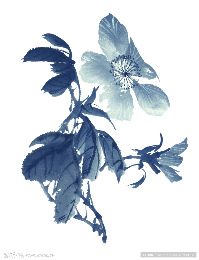 百花争艳 
