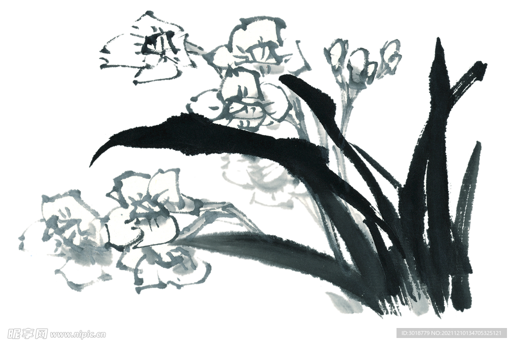 百花争艳  