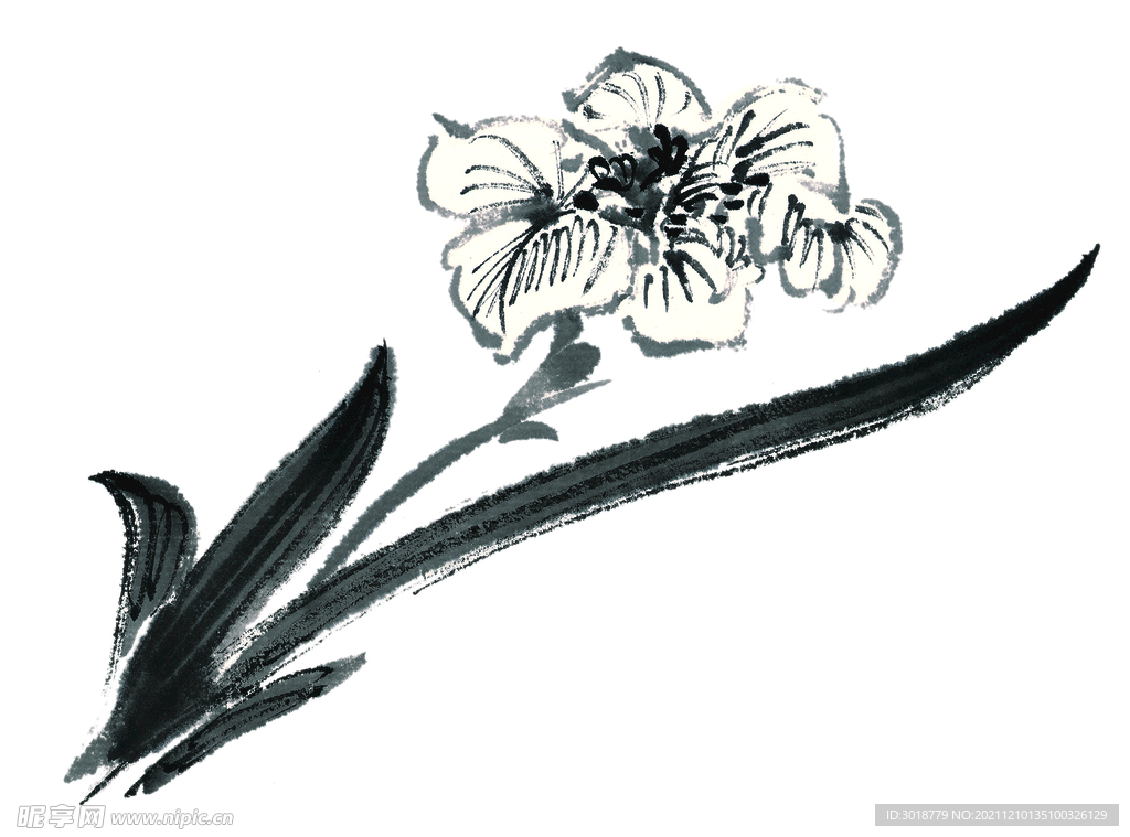 百花争艳  