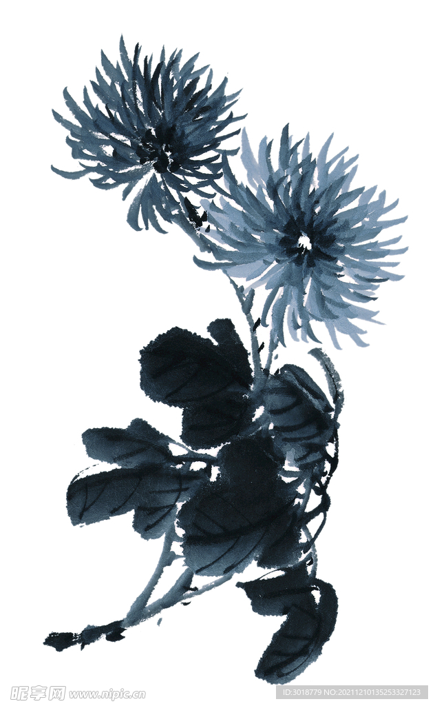 百花争艳  