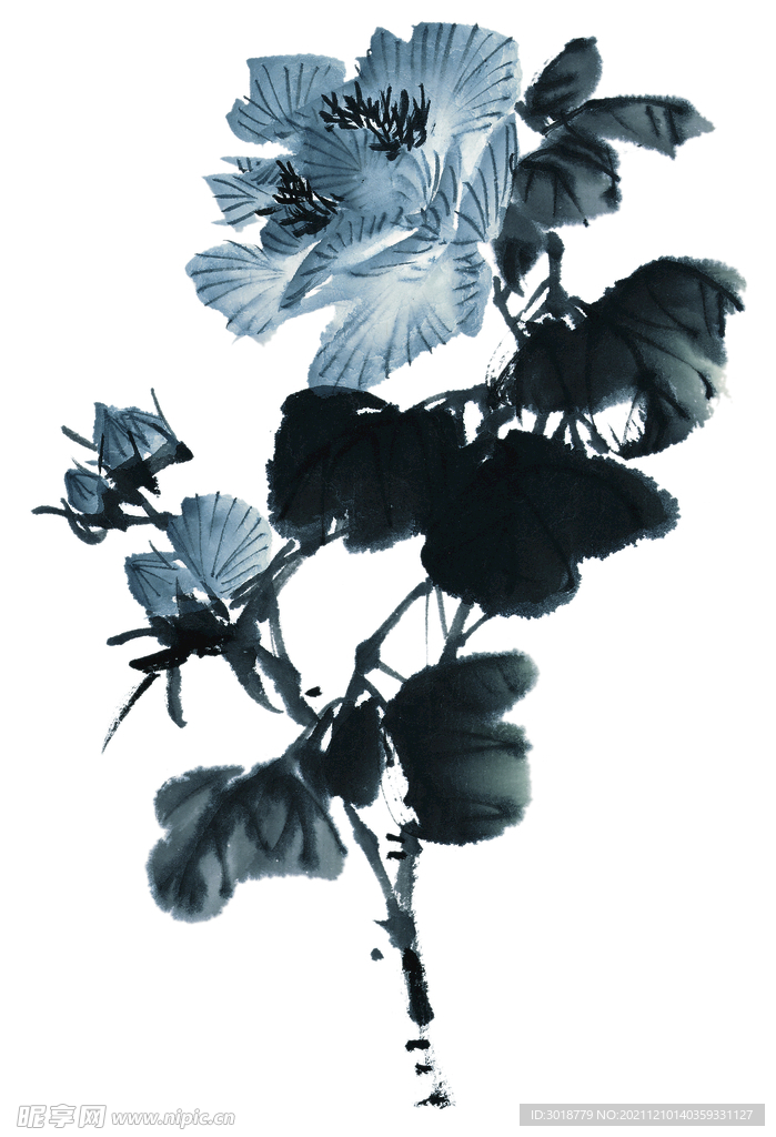 百花争艳 