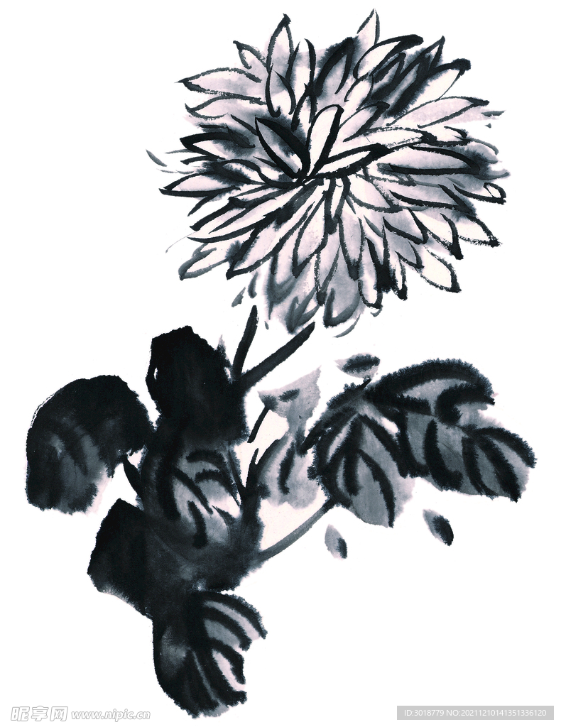 百花争艳 