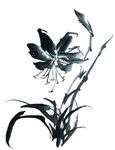百花争艳  