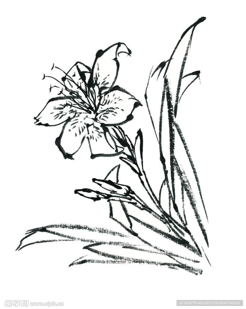 百花争艳  