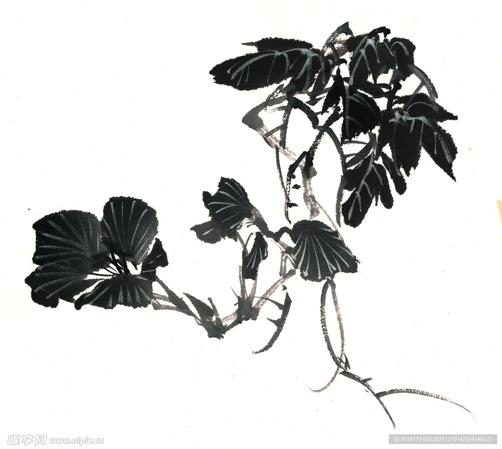 百花争艳 