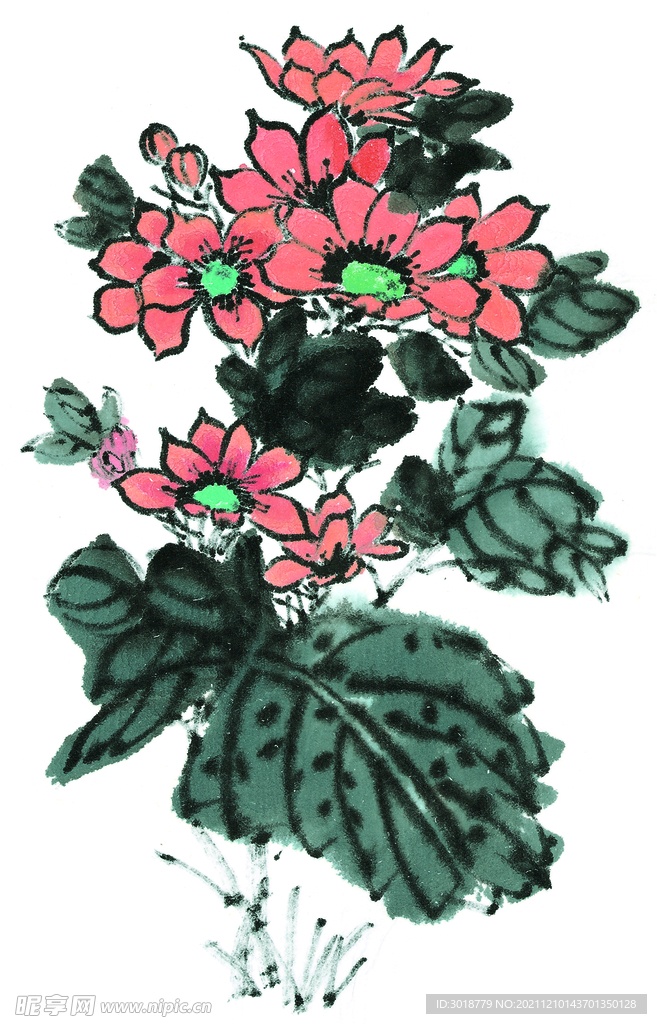 百花争艳  