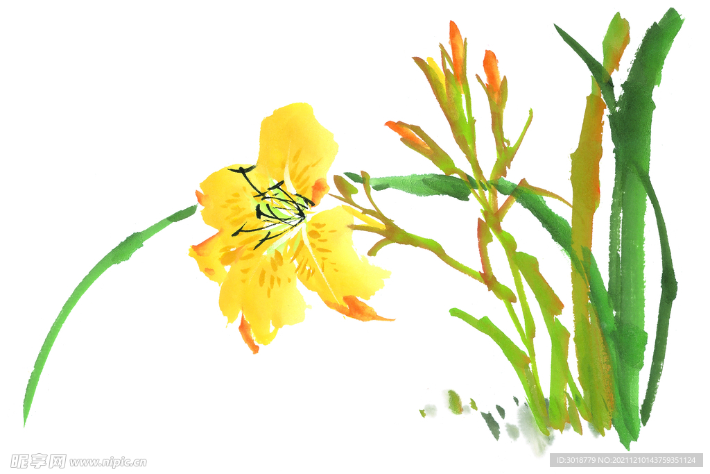 百花争艳 