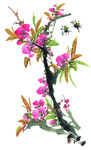 百花争艳  