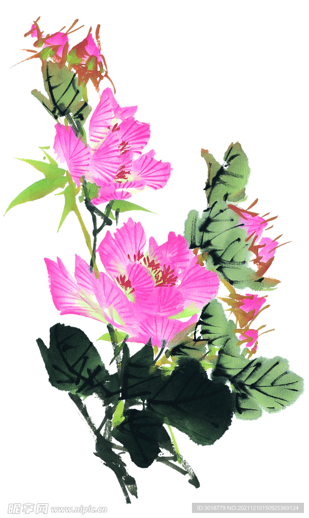 百花争艳  