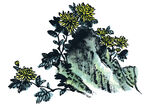 百花争艳  