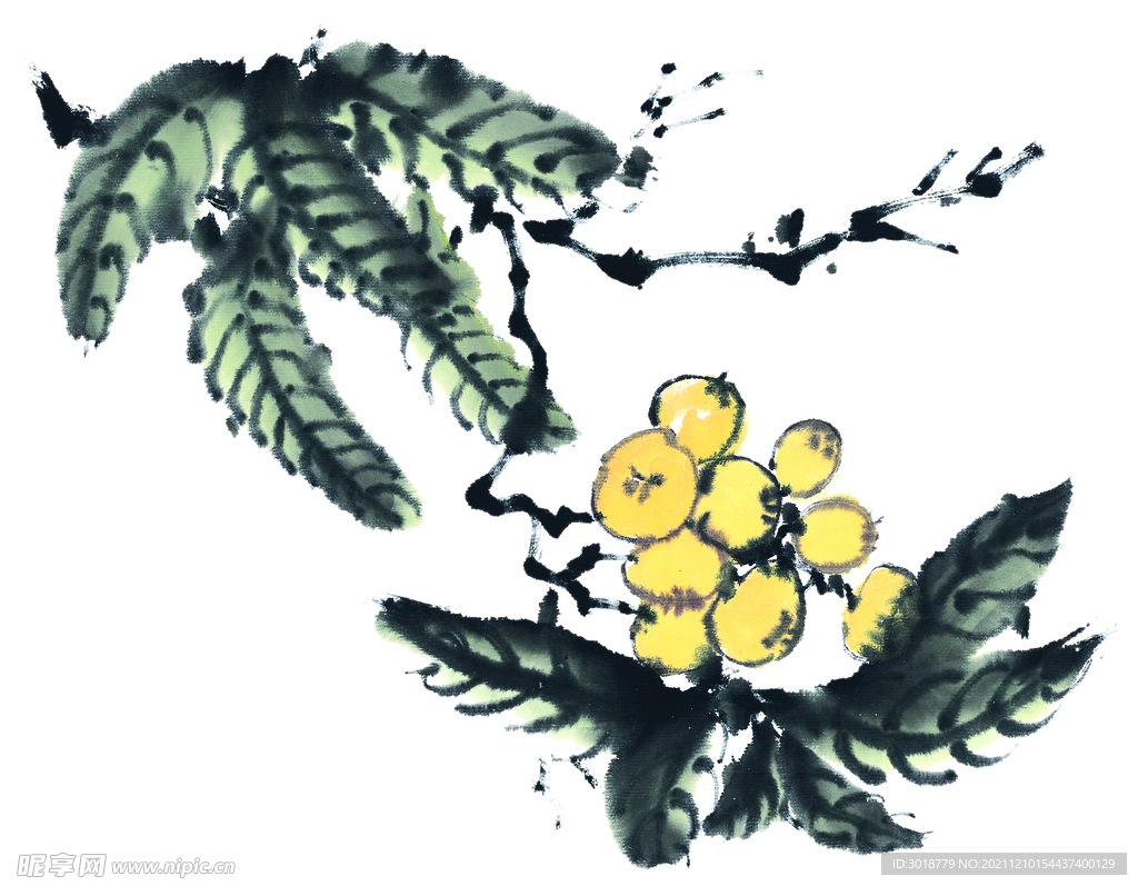 百花争艳  