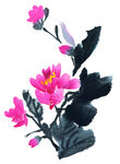 百花争艳 