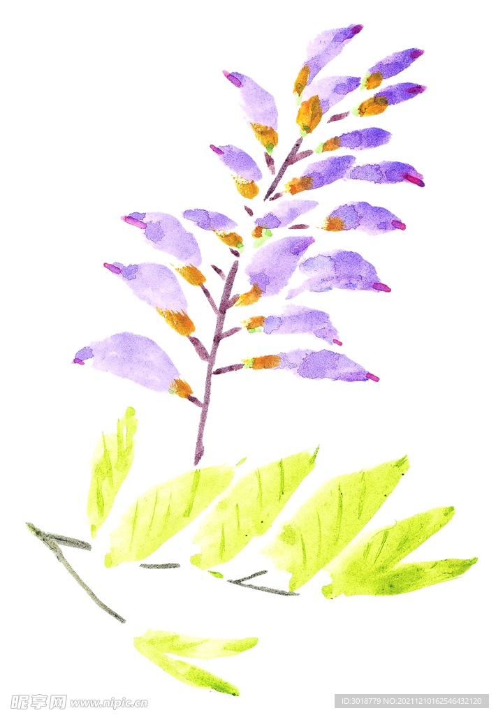 百花争艳  