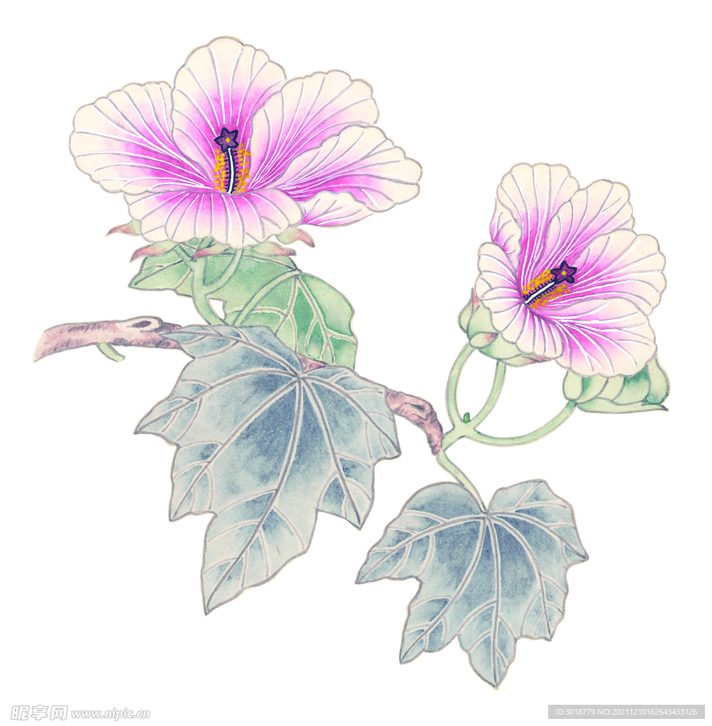 百花争艳