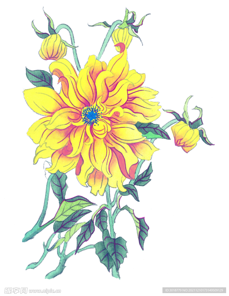 百花争艳  
