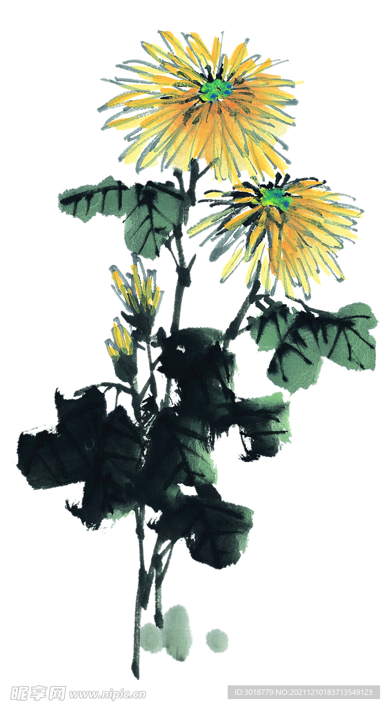 国画百花争艳
