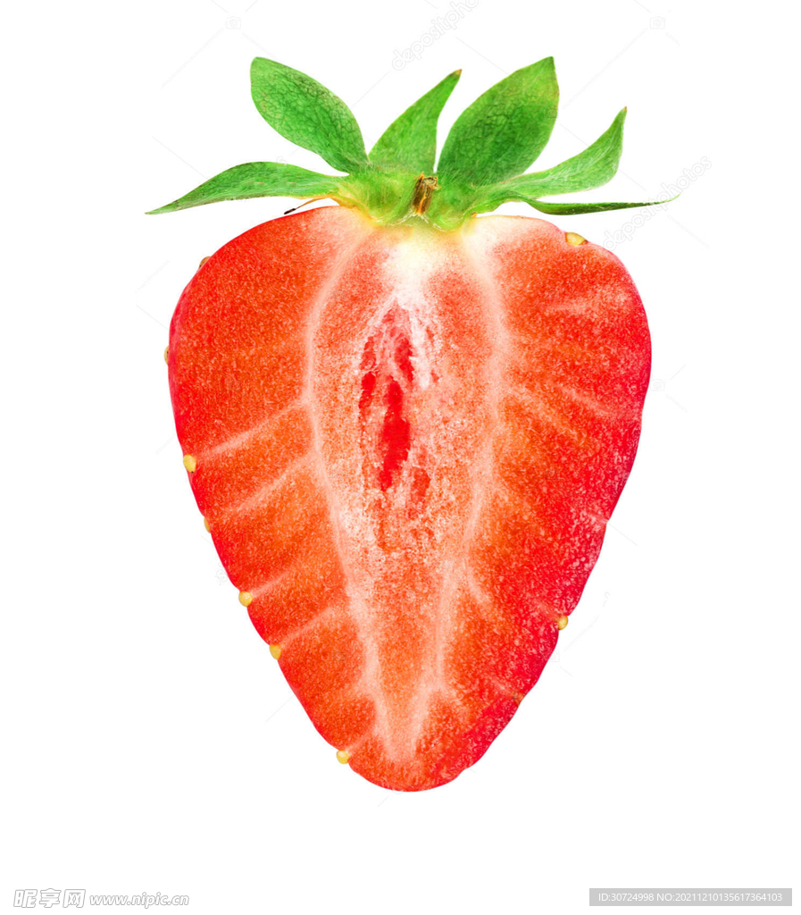 草莓纵切面结构图图片