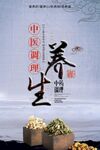 中医调养海报