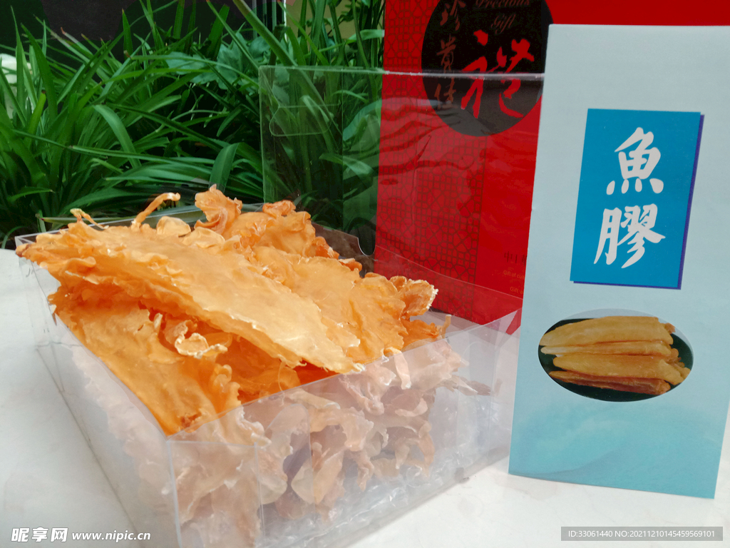 鱼胶