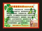 艾叶熏脚底心的 功效与作用