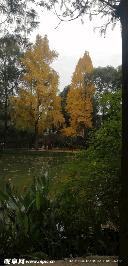 崇州罨画池
