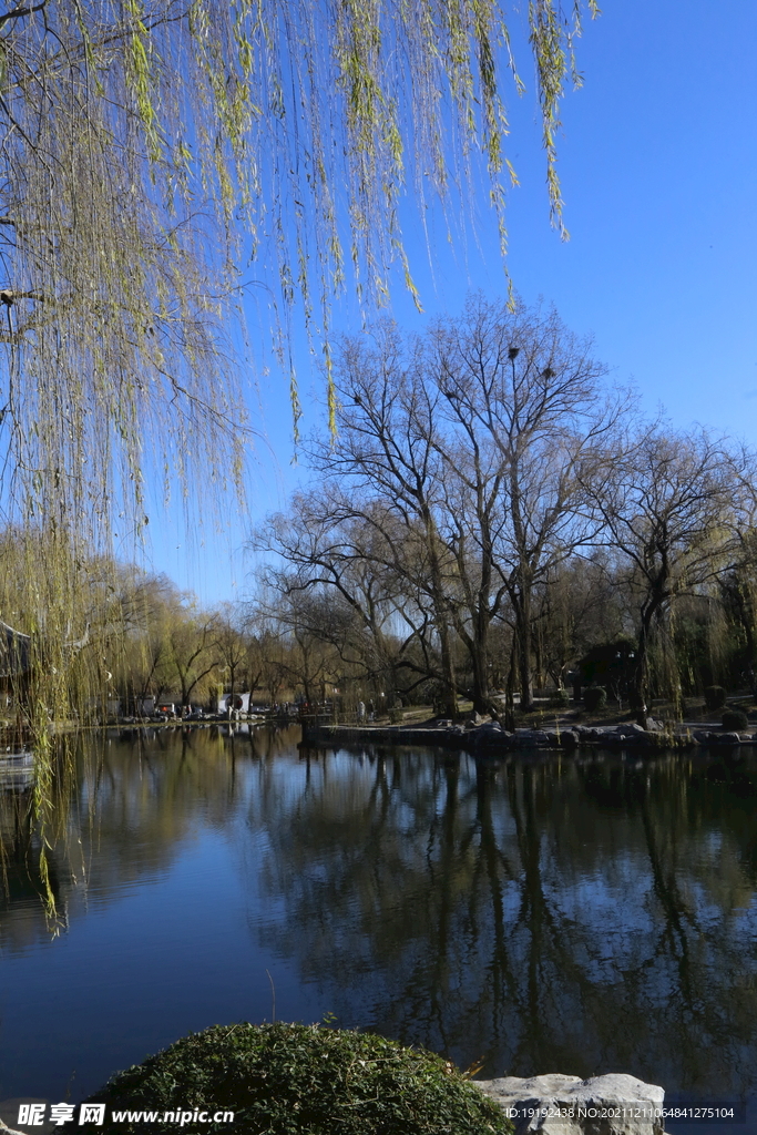 陶然亭风景